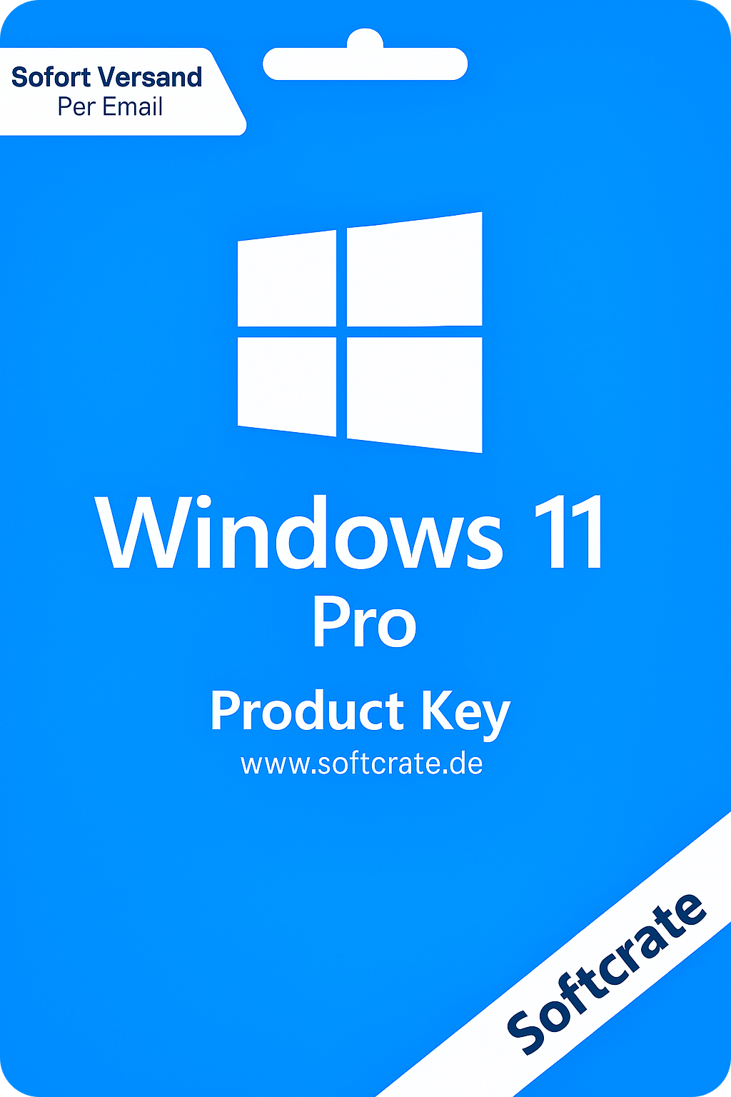 Windows 11 Professional